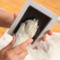 Printed Paw Kit